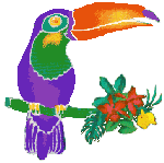 Toucan image and link