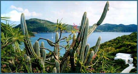 Guana Island in the BVI