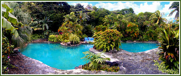 Young Island's Lagoon Pool